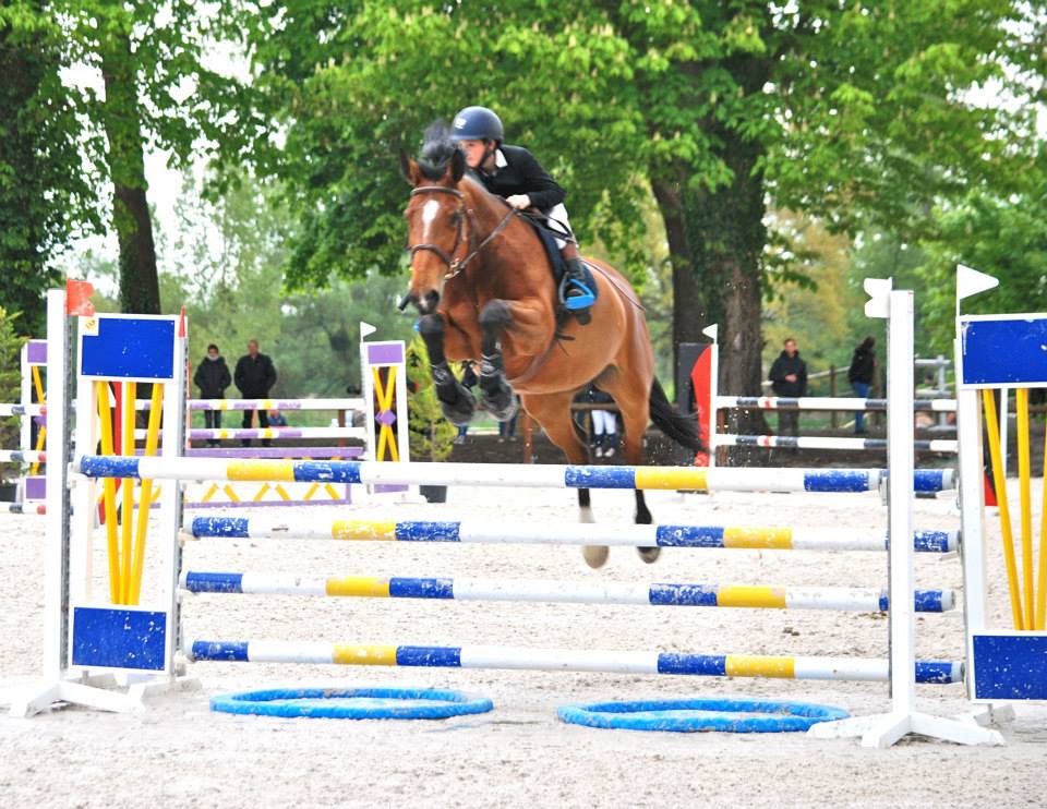 concours-obstacles-jumping